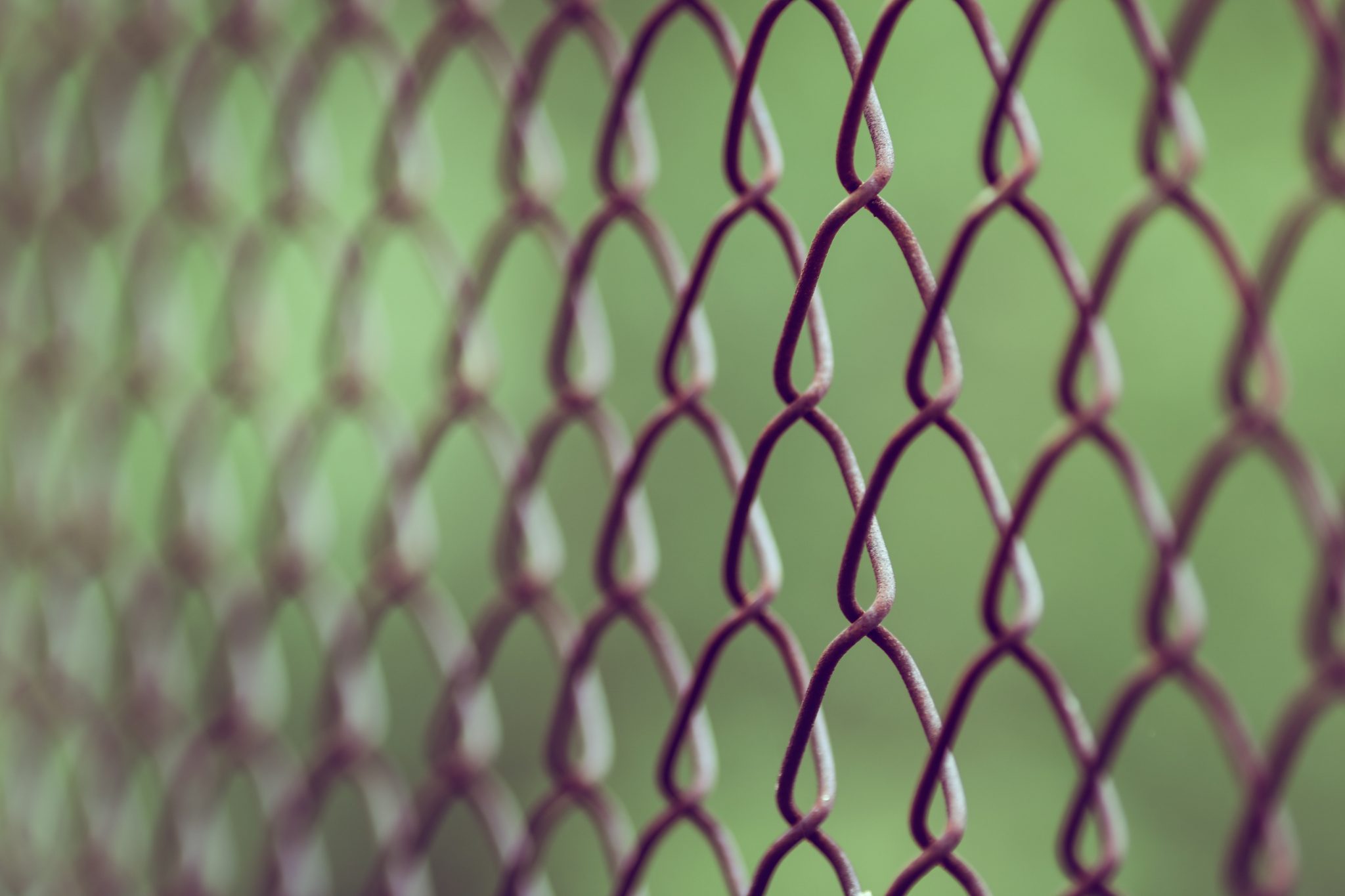 A selective focus shot of a chainlink fence.